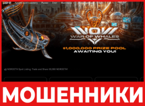 BloFin лицевая сторона скрин