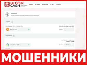 Bloom Cash лицевая сторона скрин