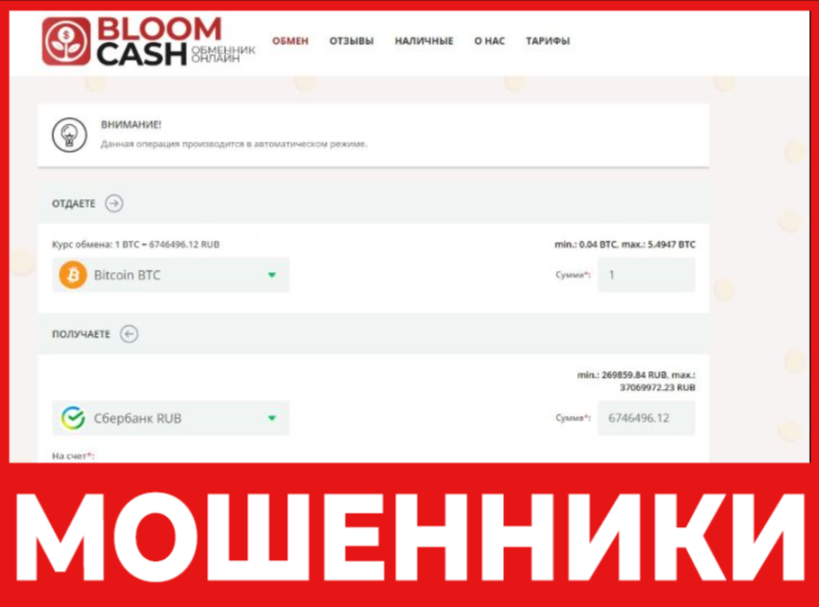 Bloom Cash лицевая сторона скрин