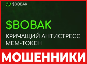 Bobak лицевая сторона скрин