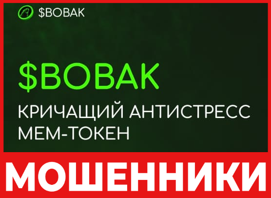 Bobak лицевая сторона скрин