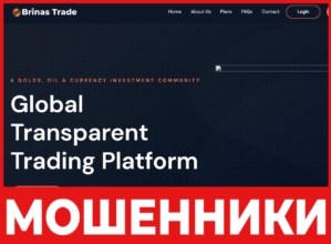 Brinas Trade лицевая сторона скрин