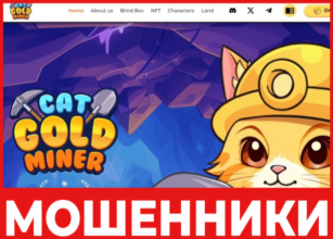 Cat Gold Miner лицевая сторона скрин