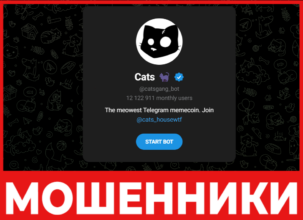 Cats лицевая сторона скрин