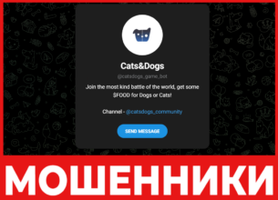 Cats&Dogs лицевая сторона скрин