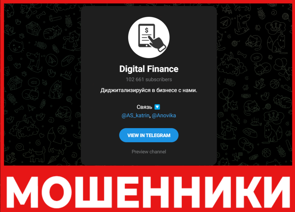 Digital Finance лицевая сторона скрин