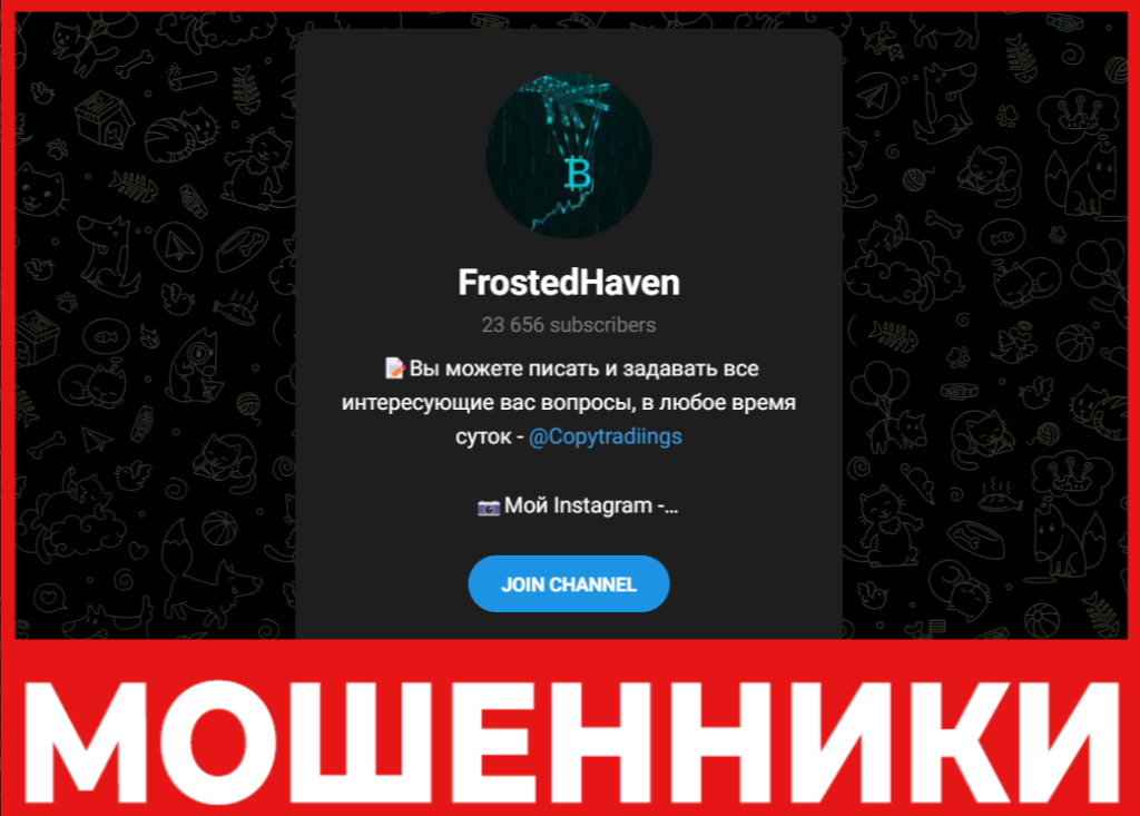 FrostedHaven лицевая сторона скрин