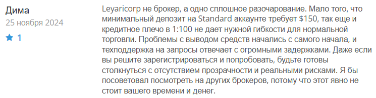 Leyaricorp 1 скрин