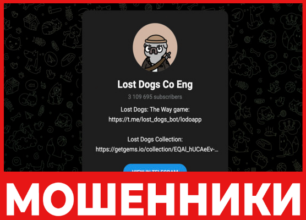 Lost Dogs The Way лицевая сторона скрин
