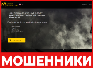 Magnum Financial Ltd лицевая сторона скрин