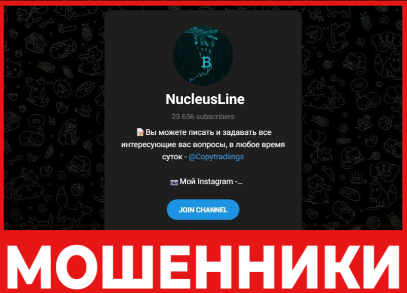 NucleusLine лицевая сторона скрин