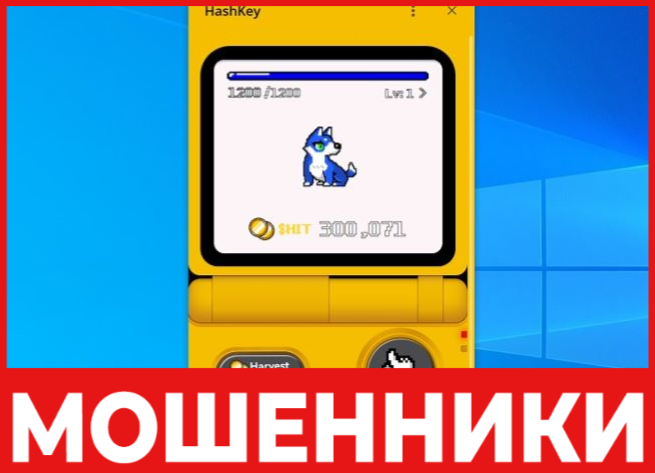 OKX Racer лицевая сторона скрин