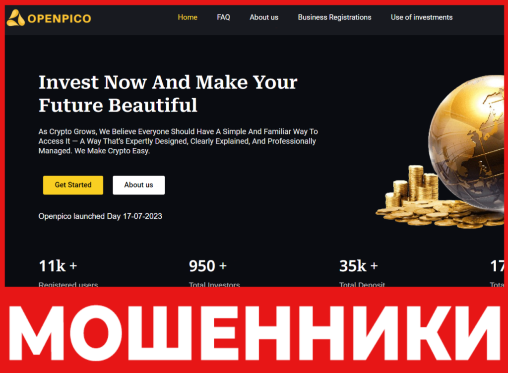 Openpico лицевая сторона скрин