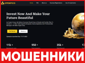 Openpico лицевая сторона скрин