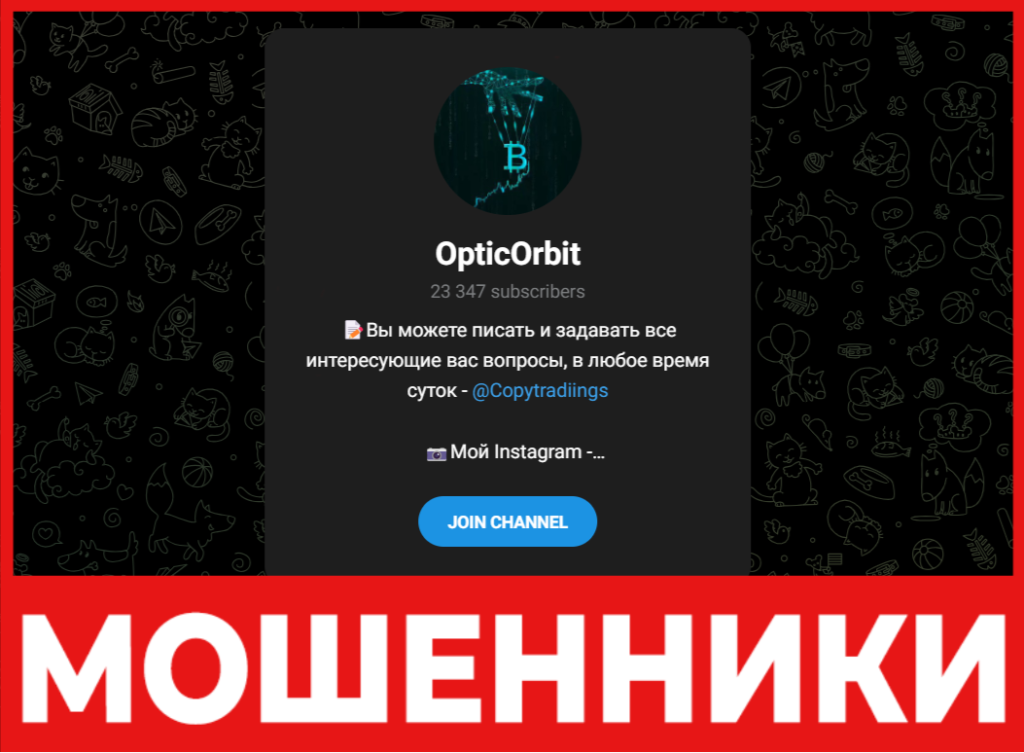 OpticOrbit лицевая сторона скрин