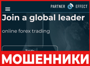 Partner Effect лицевая сторона скрин