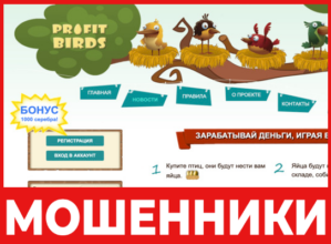 Profit Birds лицевая сторона скрин