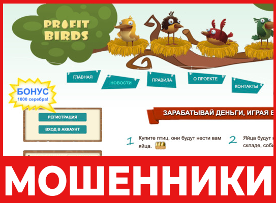 Profit Birds лицевая сторона скрин