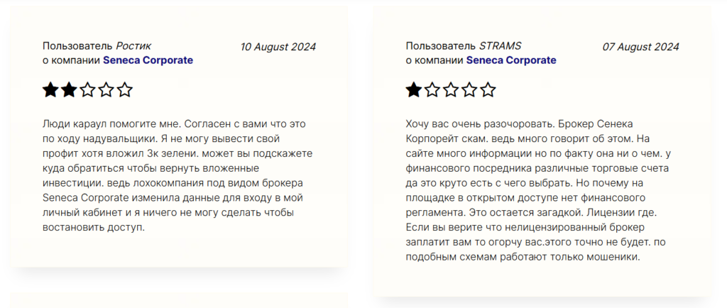 Seneca Corporate 1 скрин