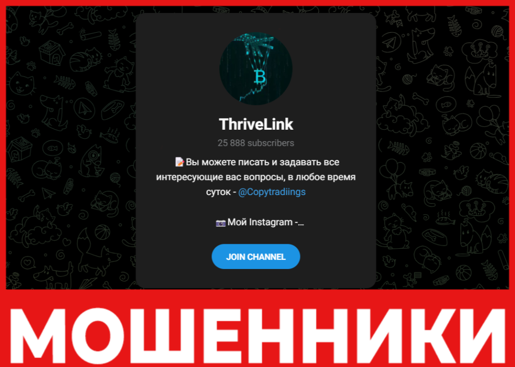 ThriveLink лицевая сторона скрин