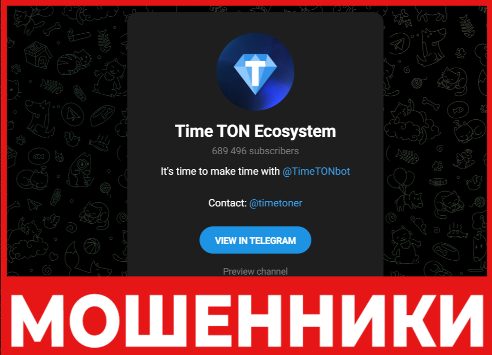 Time TON Ecosystem лицевая сторона скрин