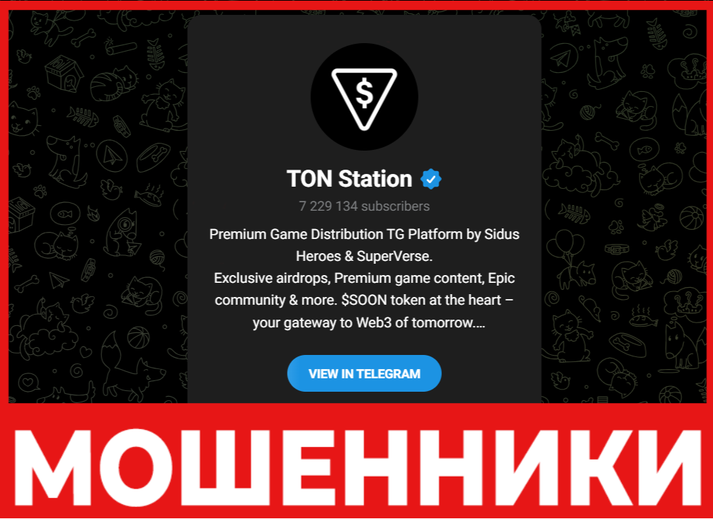 TON Station лицевая сторона скрин