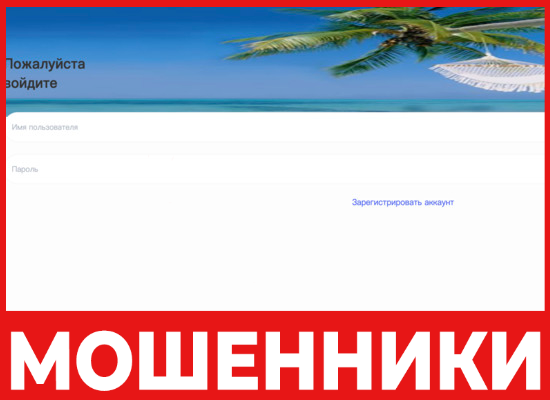 Tripzzy лицевая сторона скрин