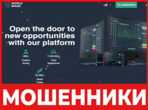 WorldBinar лицевая сторона скрин