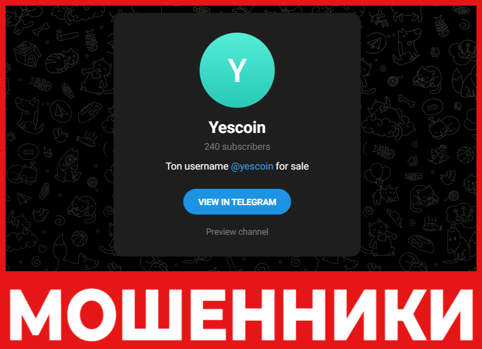 YesCoin лицевая сторона скрин