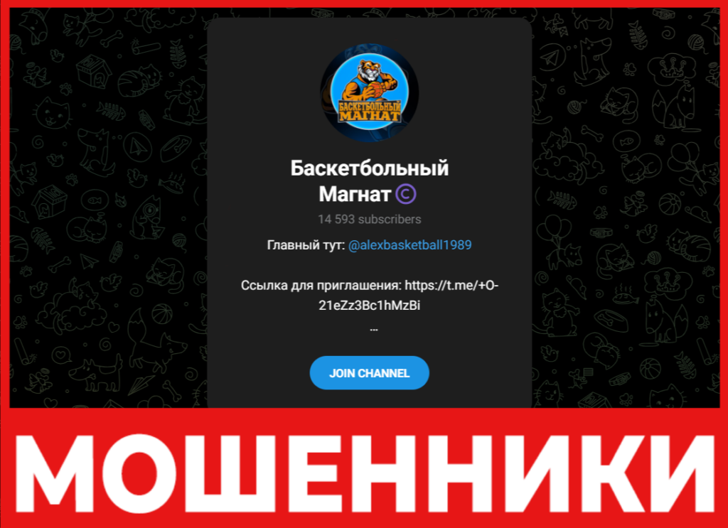 Баскетбольный Магнат лицевая сторона скрин