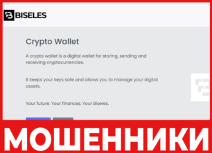 Biseles лицевая сторона скрин