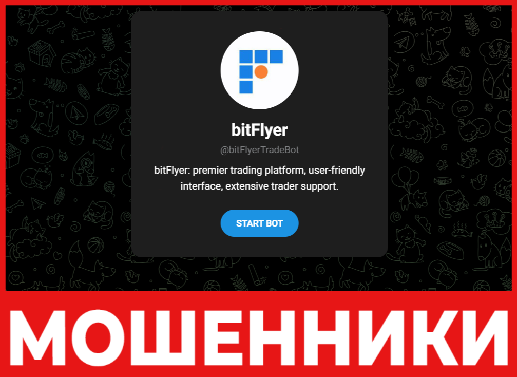 BitFlyerTradeBot лицевая сторона скрин