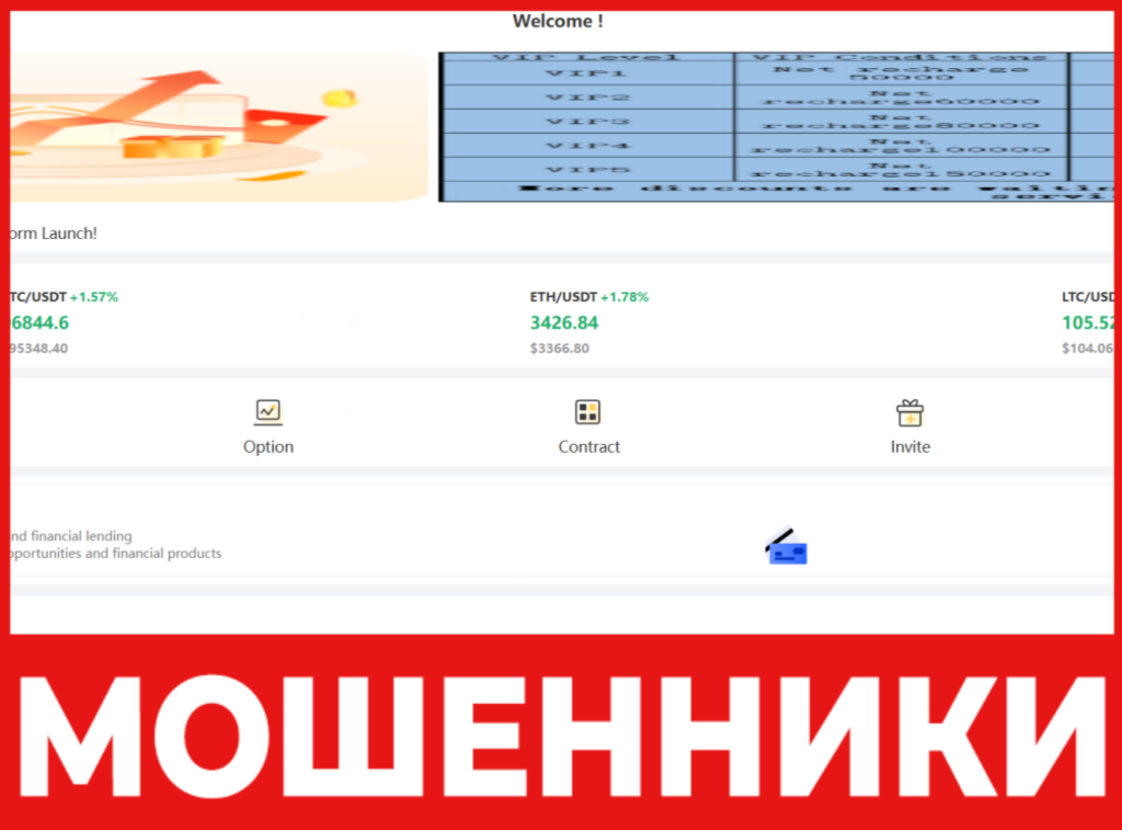 Bittang лицевая сторона скрин