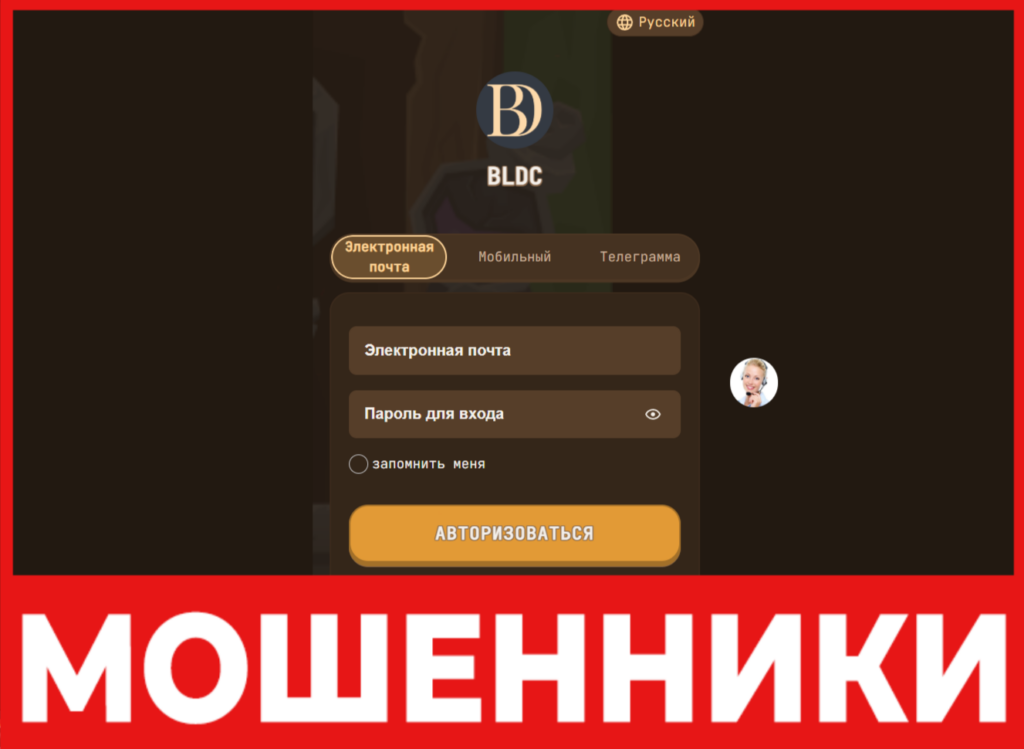 BLDC лицевая сторона скрин