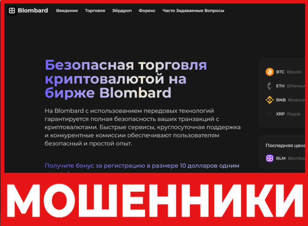 Blombard лицевая сторона скрин