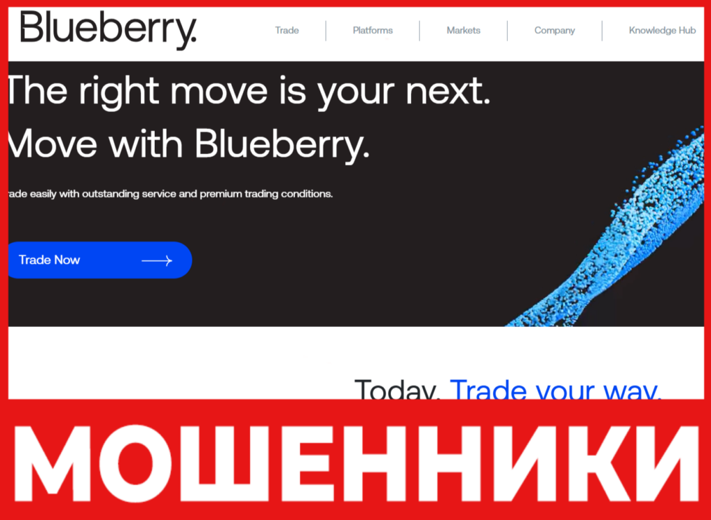 Blueberry Markets лицевая сторона скрин