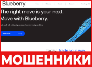 Blueberry Markets лицевая сторона скрин