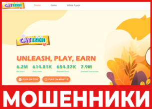 Catizen лицевая сторона скрин