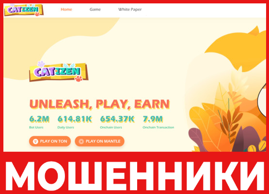 Catizen лицевая сторона скрин