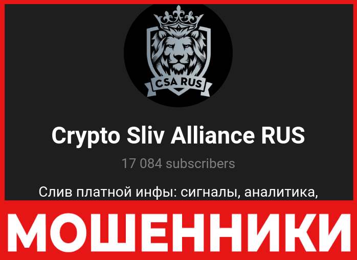 Crypto Sliv Alliance лицевая сторона скрин