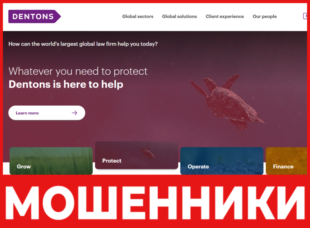 Dentons лицевая сторона скрин