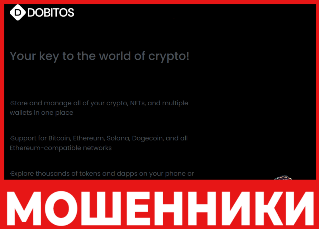 DoBitos лицевая сторона скрин