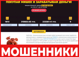 GetGrizzly лицевая сторона скрин