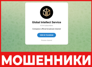 Global Intellect Service лицевая сторона скрин