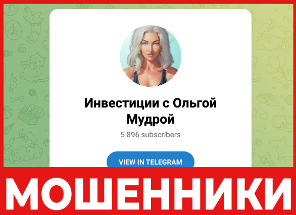 Инвестиции с Ольгой Мудрой лицевая сторона скрин