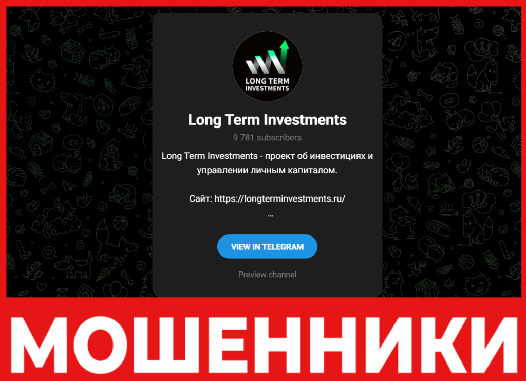 Long Term Investments лицевая сторона скрин