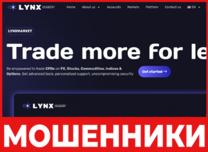 Lynxmarket лицевая сторона скрин