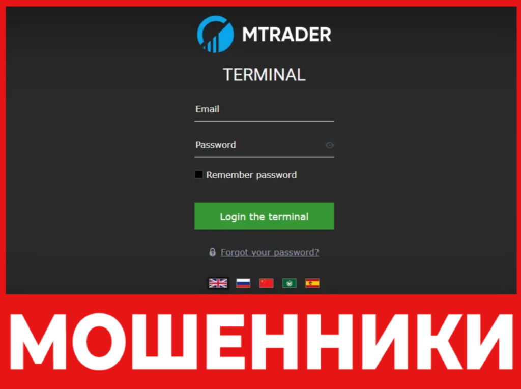 MTrader лицевая сторона скрин