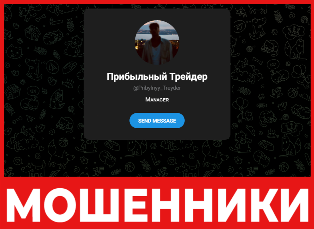 Прибыльный Трейдер лицевая сторона скрин