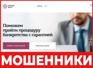 ProfiDolg лицевая сторона скрин